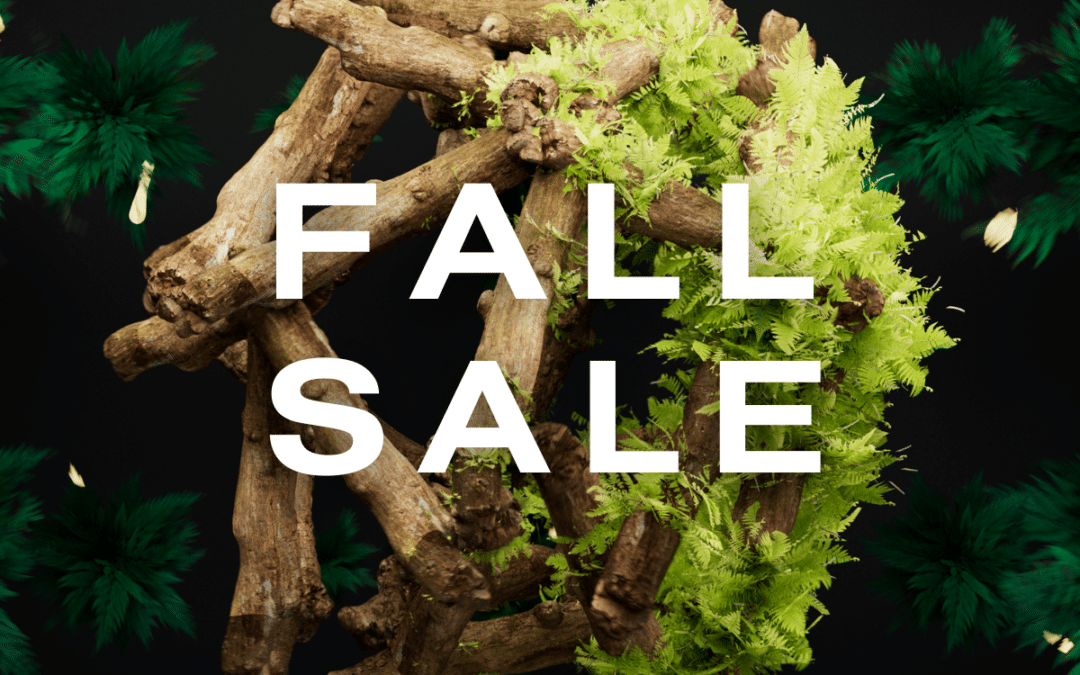 2023 Fall Sale!